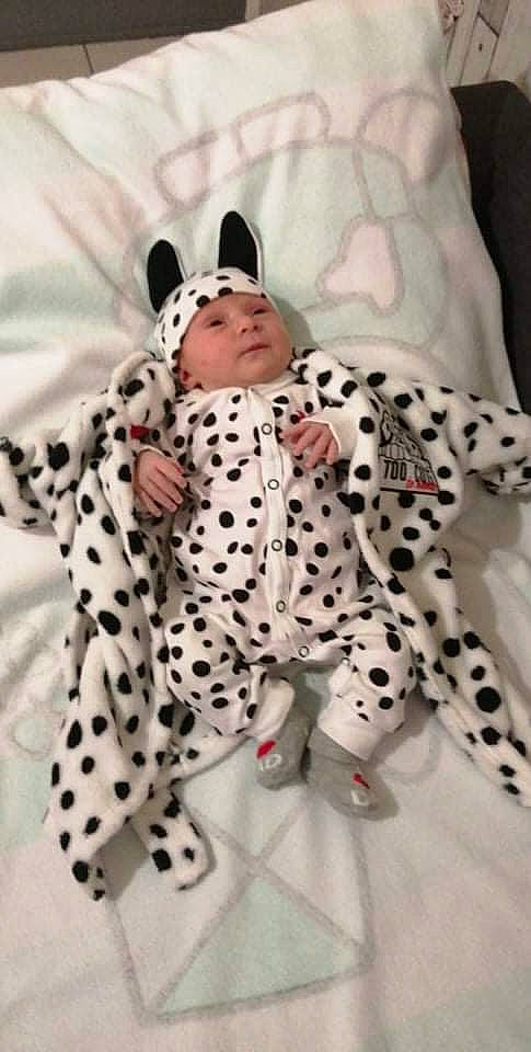 Marie a rejoint le concours — aidez-le/la à gagner de superbes lots ! baby, baby_toddler_clothing, big_cats, carmine, comfort, fawn, felidae, fur, head, headwear, pattern, person, plush, sitting, sleeve, snout, stuffed_toy, terrestrial_animal, textile, toy