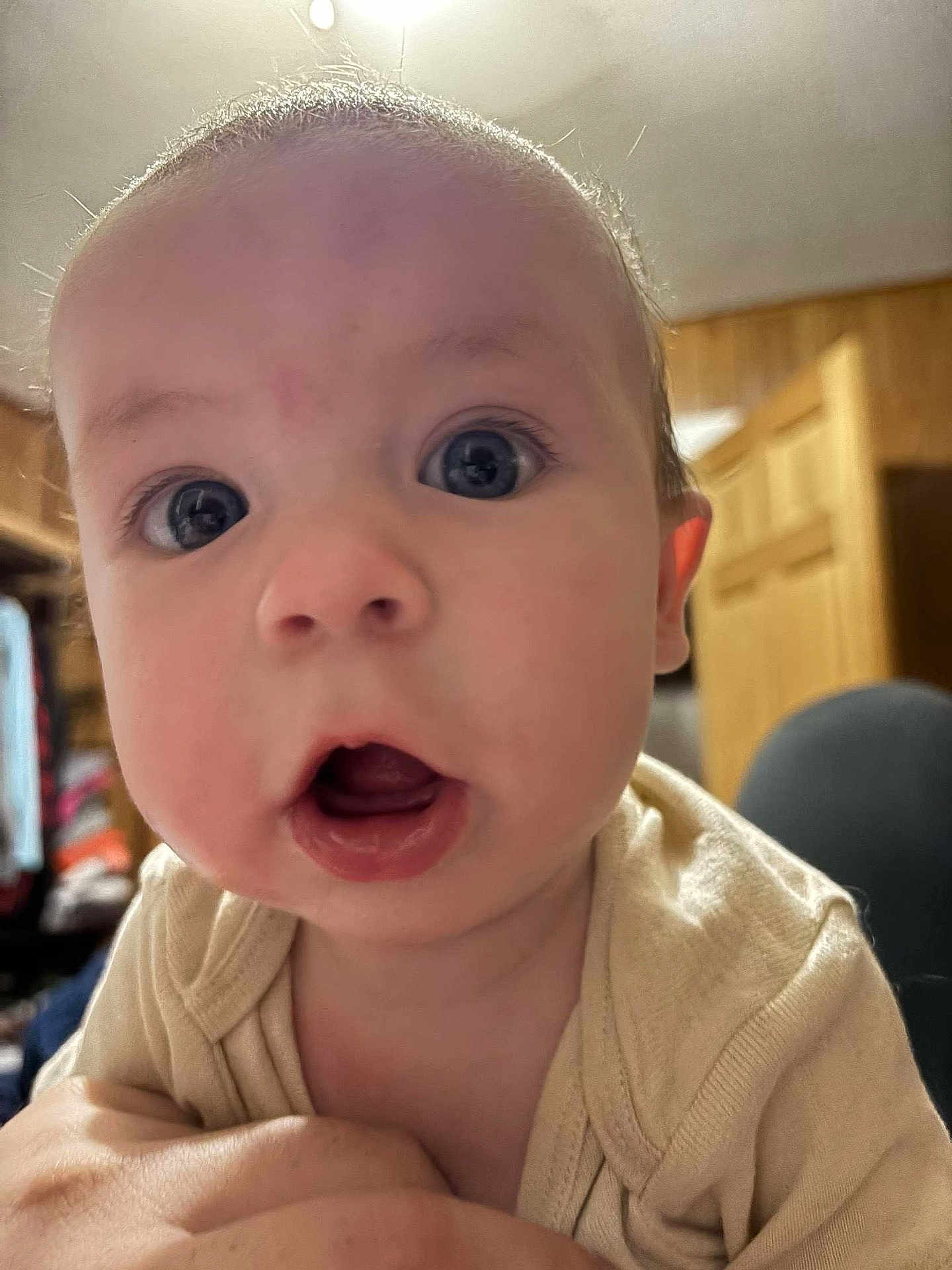 Paxton