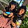 Ashley Y Grace