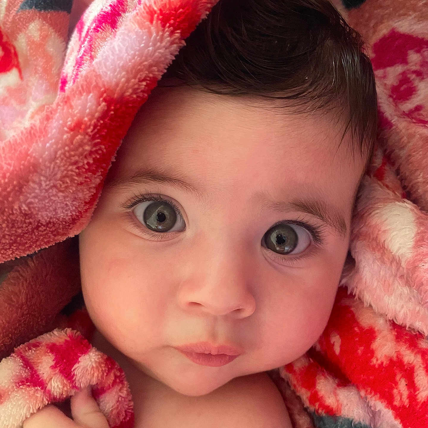 Héléna participe au concours pour gagner de l'argent avec cette photo : baby, blanket, child, closeup, comfort, cozy, cute, expression, eyes, face, hand, infant, pink, portrait, red, skin, soft, toddler, warm, wrapped