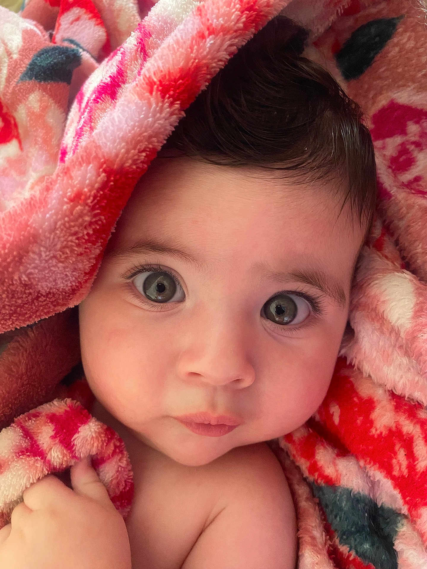 Héléna participe au concours pour gagner de l'argent avec cette photo : baby, child, face, eyes, blanket, hand, skin, infant, closeup, expression, cute, soft, warm, portrait, wrapped, cozy, comfort, pink, red, toddler