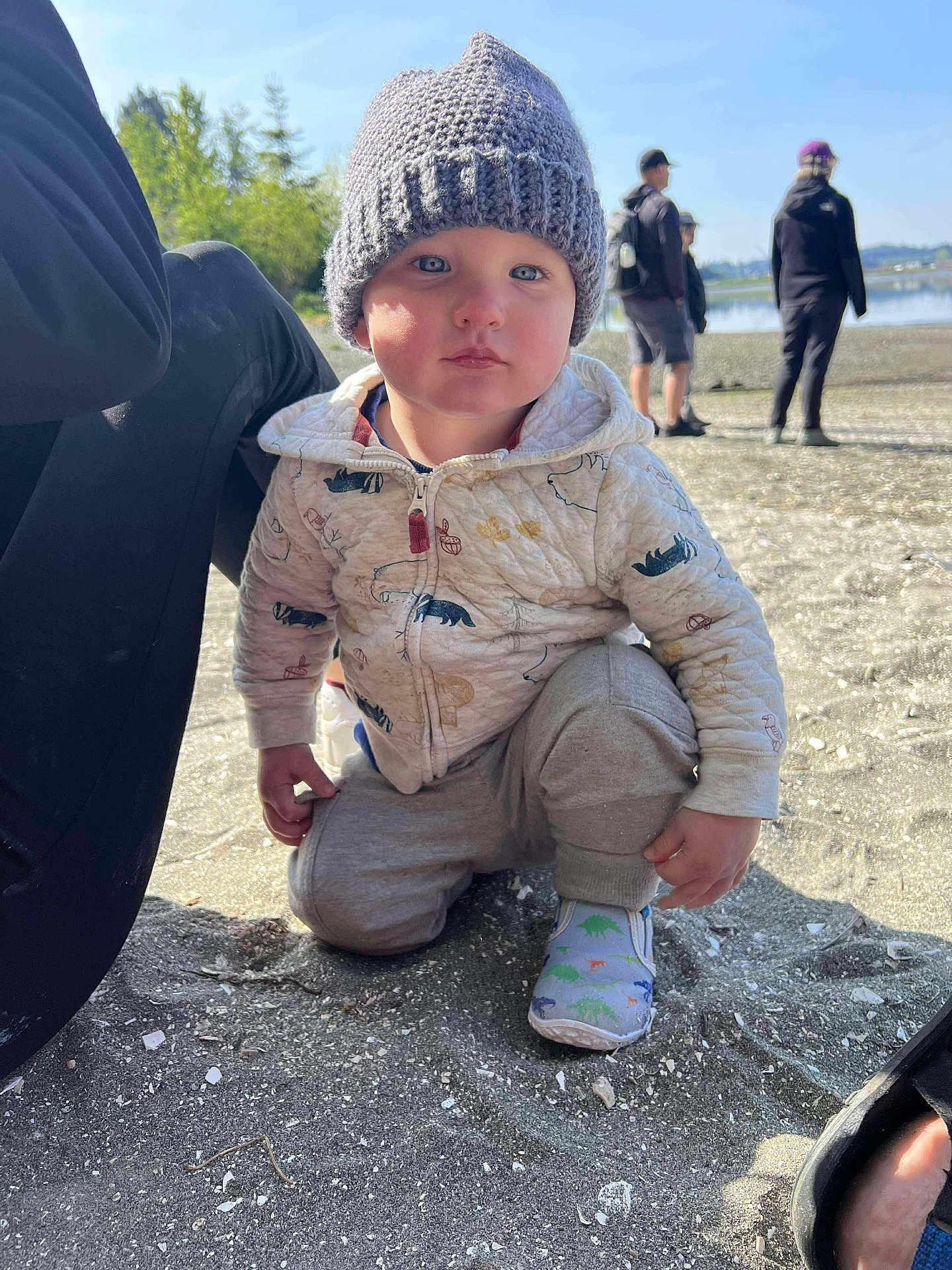 Jasper joined the competition — help win amazing prizes! toddler, child, beanie, hat, jacket, sweatpants, shoes, dinosaur_print, sand, beach, outdoor, daylight, water, people, background, nature, trees, sky, curious, crouching