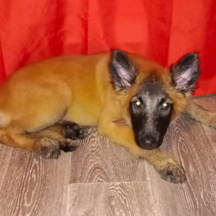 Luna