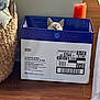 animal, basket, box, brush, cardboard_box, cat, container, cozy, curious, domestic, feline, flooring, head, hidden, home, indoor, peeking, pet, small, wooden_floor