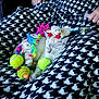 ball, blanket, cat, closeup, colorful, cozy, domestic_animal, fur, hand, houndstooth_pattern, indoor, patterned_fabric, person, pet, relaxing, resting, sleeping, stuffed_animal, toy, usb_stick