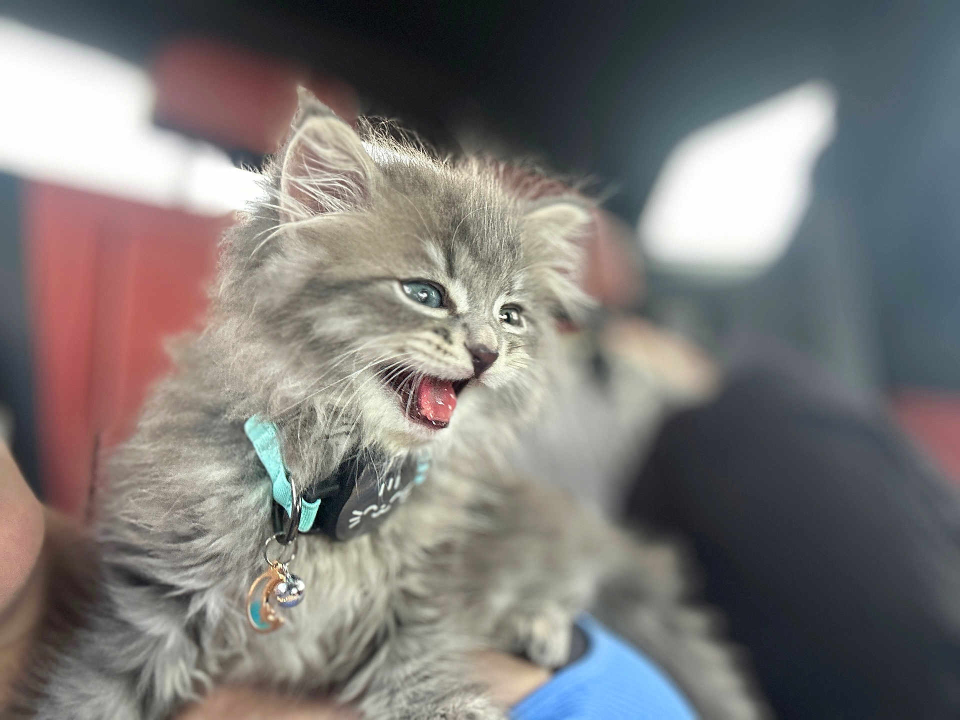 Alexei
