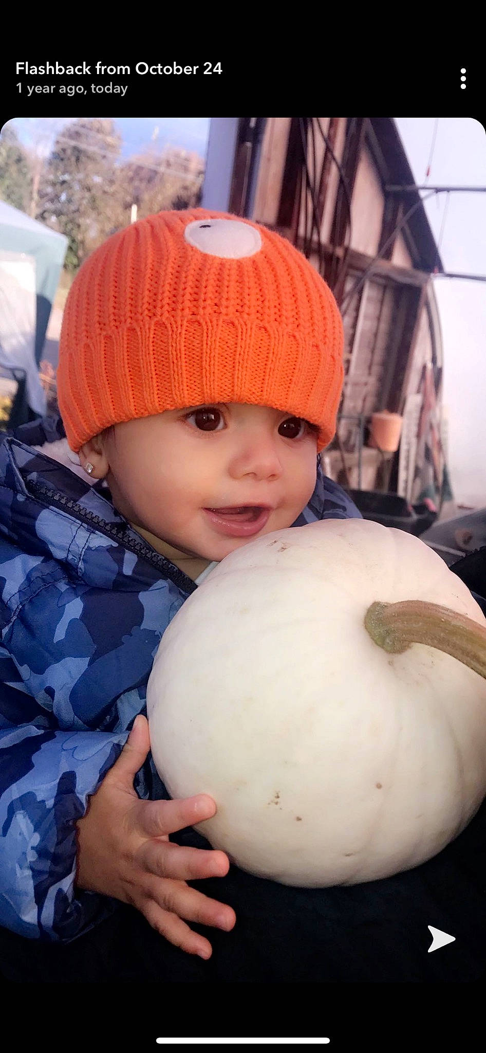 Giovani joined the competition — help win amazing prizes! beanie, bonnet, calabaza, cap, child, headgear, knit_cap, person, pumpkin, toddler