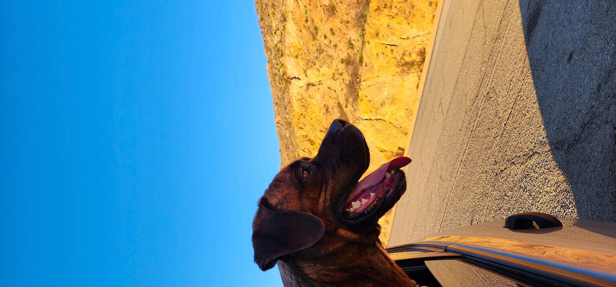 Bruiser is registered to the contest to win money with this photo: adventure, art, bronze_sculpture, electric_blue, fun, landscape, leisure, monument, recreation, rock, sculpture, shadow, sky, tints_and_shades, tree, visual_arts, wood