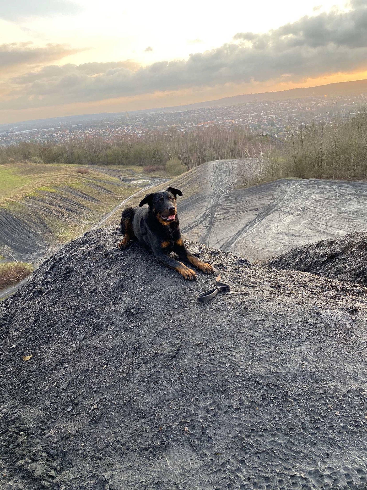 Pako a rejoint le concours — aidez-le/la à gagner de superbes lots ! aeolian_landform, asphalt, bedrock, carnivore, cloud, grass, grassland, highland, hill, horizon, landscape, mountain, people_in_nature, recreation, sand, sky, slope, tree, wheel, wood