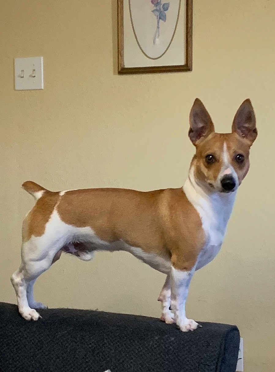 Charlie