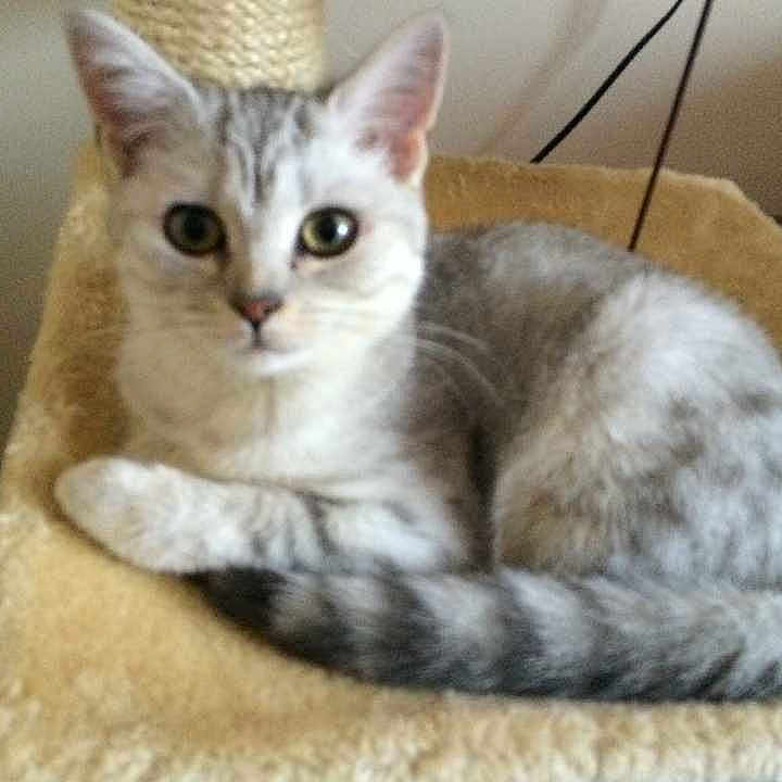 Luna is registered to the contest to win money with this photo: