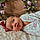 Wrenleigh