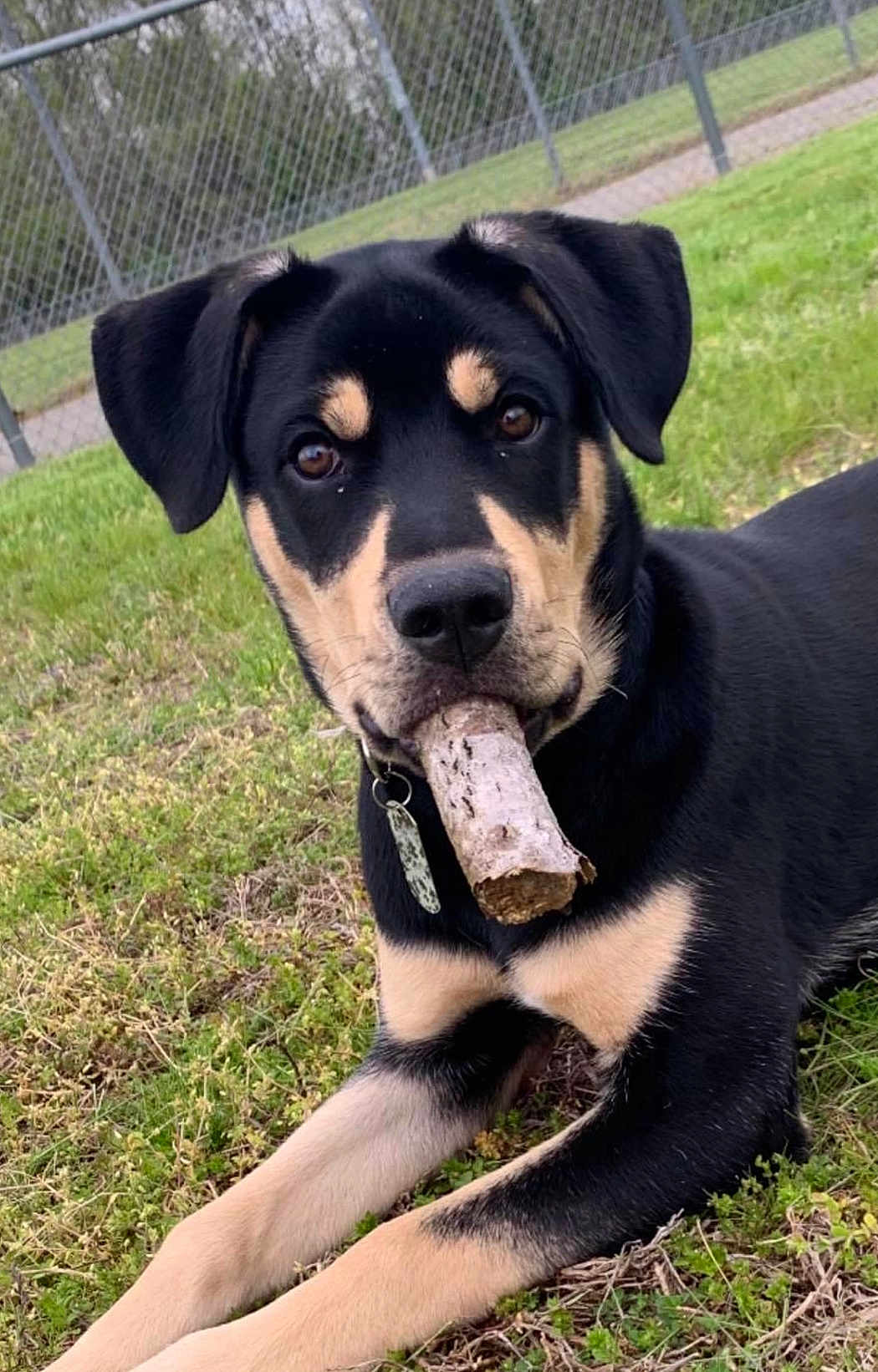 Rocky