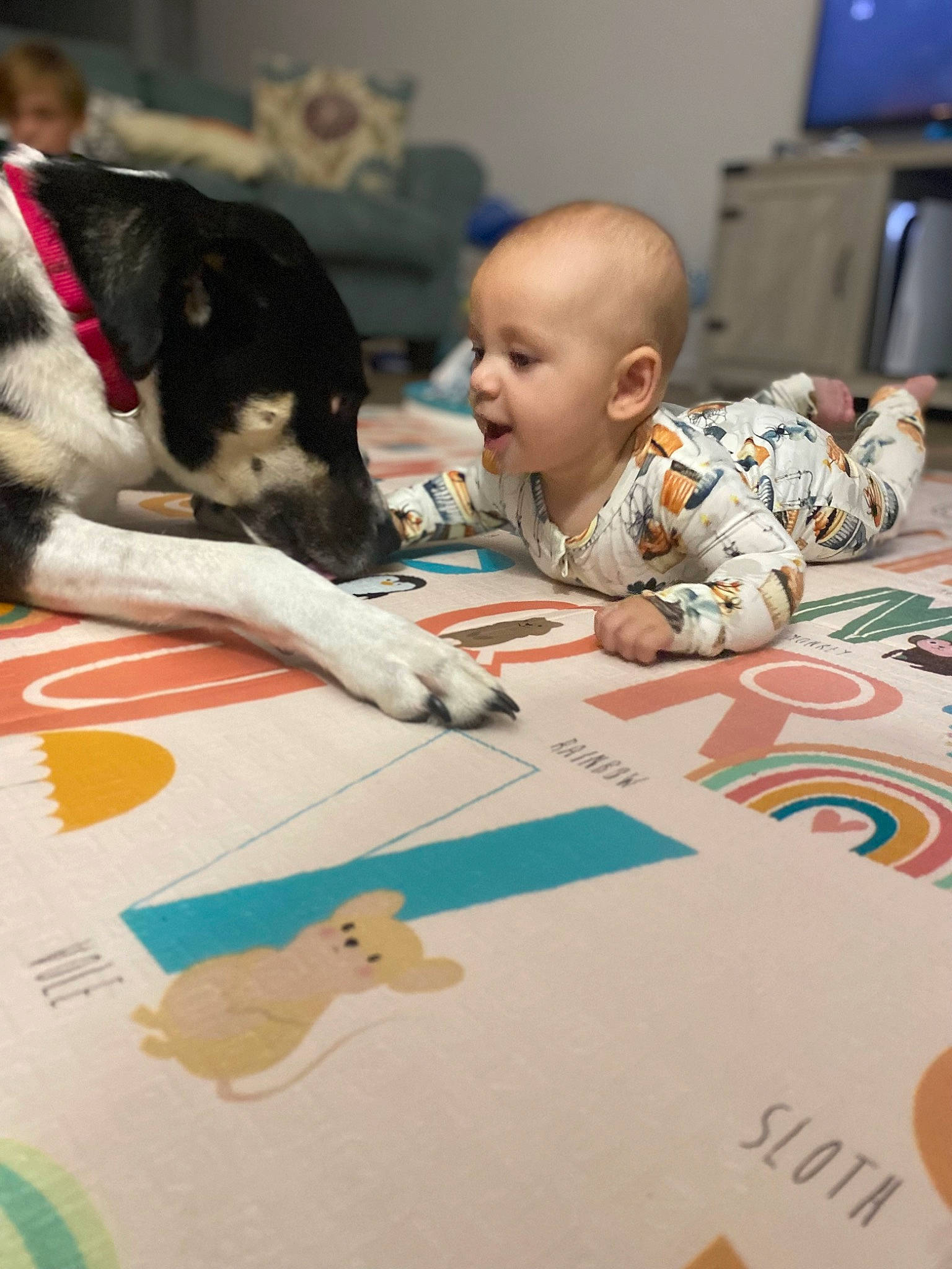 Calvin is registered to the contest to win money with this photo: art, baby, carnivore, child, companion_dog, computer_monitor, dog, dog_breed, flooring, fun, fur, games, leisure, person, play, recreation, room, sitting, t_shirt, toddler