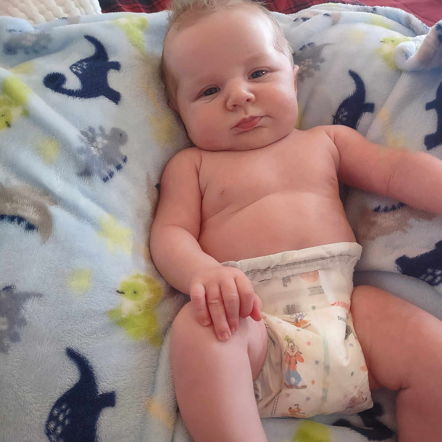 Cruz is registered to the contest to win money with this photo: animal_print, baby, blanket, child, chubby, comfort, cute, diaper, expression, foot, furniture, hair, hand, indoors, infant, plush, portrait, relaxing, skin, soft