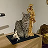 animal, cat, curious, decor, domestic_cat, furniture, golden_statue, household, indoor, looking_at_camera, ornament, pet, portrait, shadow, still_life, striped_fur, tabby_cat, vintage_gramophone, white_horse_figurine, wooden_dresser