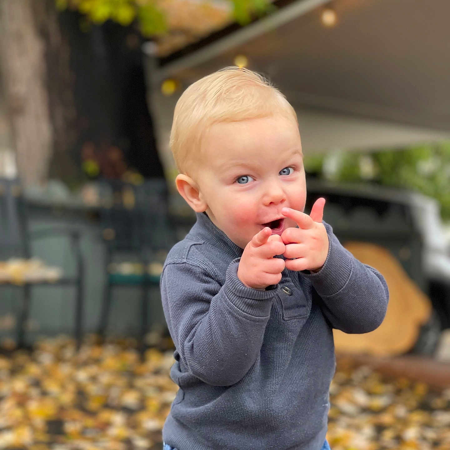 Kelly is registered to the contest to win money with this photo: baby, bodypart, clothing, coat, face, finger, grass, hand, head, jacket, jeans, knitwear, leaf, pants, person, photography, plant, portrait, sweater, tree