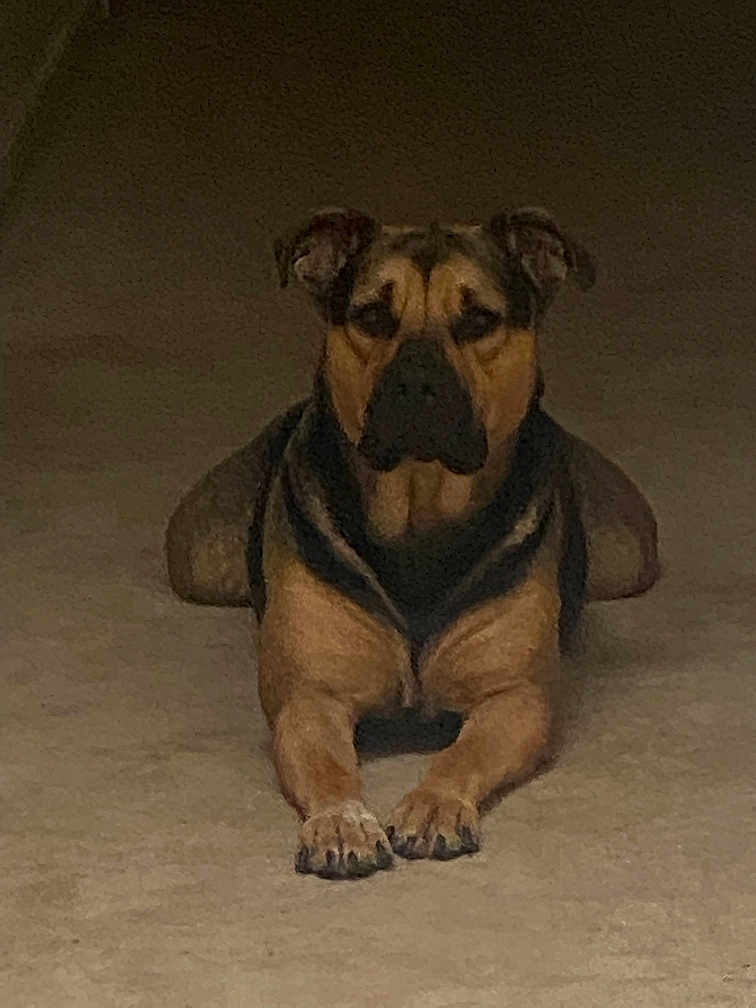 Ruger