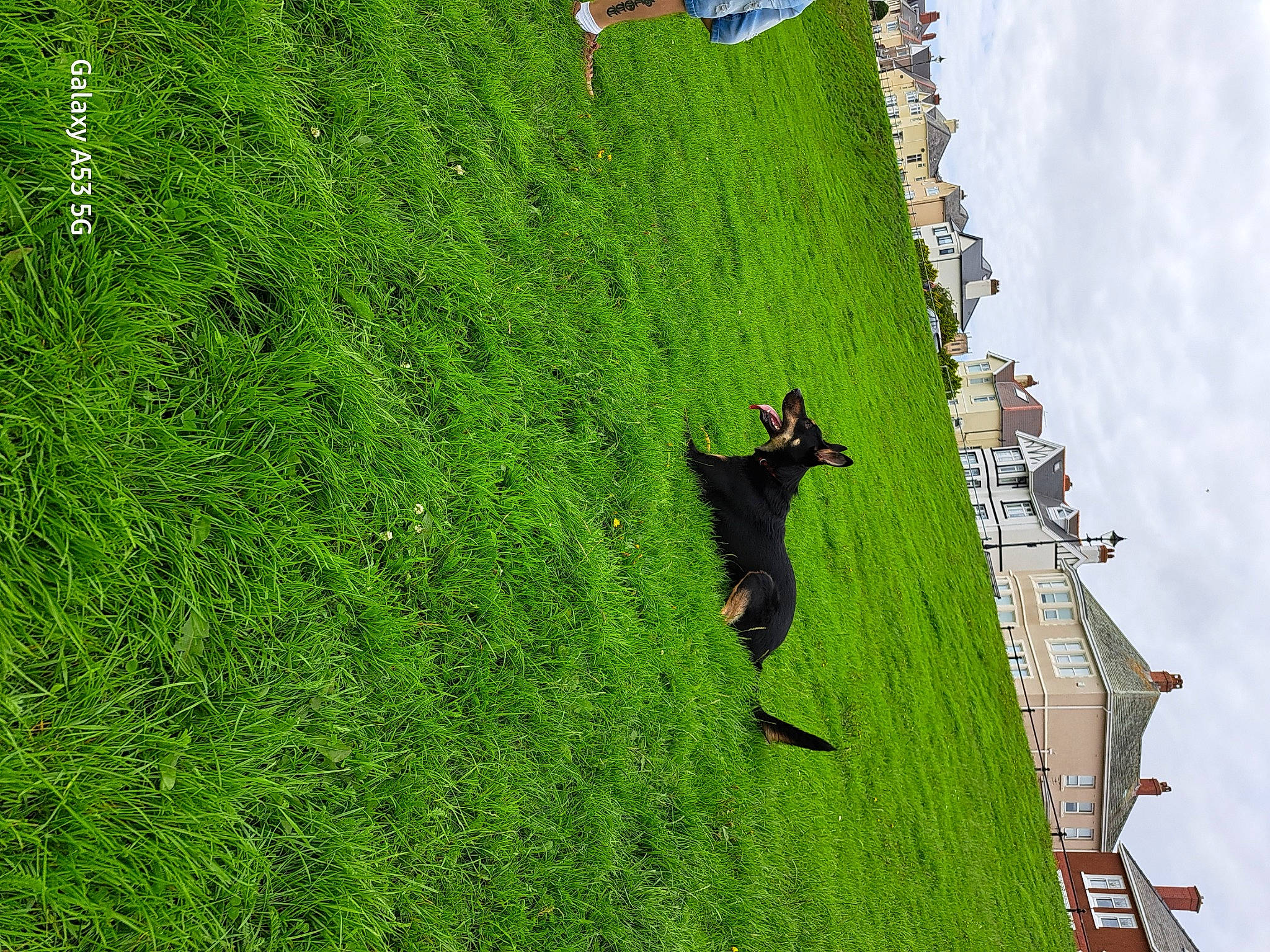 Bruno is registered to the contest to win money with this photo: building, cloud, extreme_sport, field, grass, grass_family, grassland, groundcover, landscape, lawn, leaf, pasture, people_in_nature, plant, shadow, sky, slope, tree, urban_design, vegetation