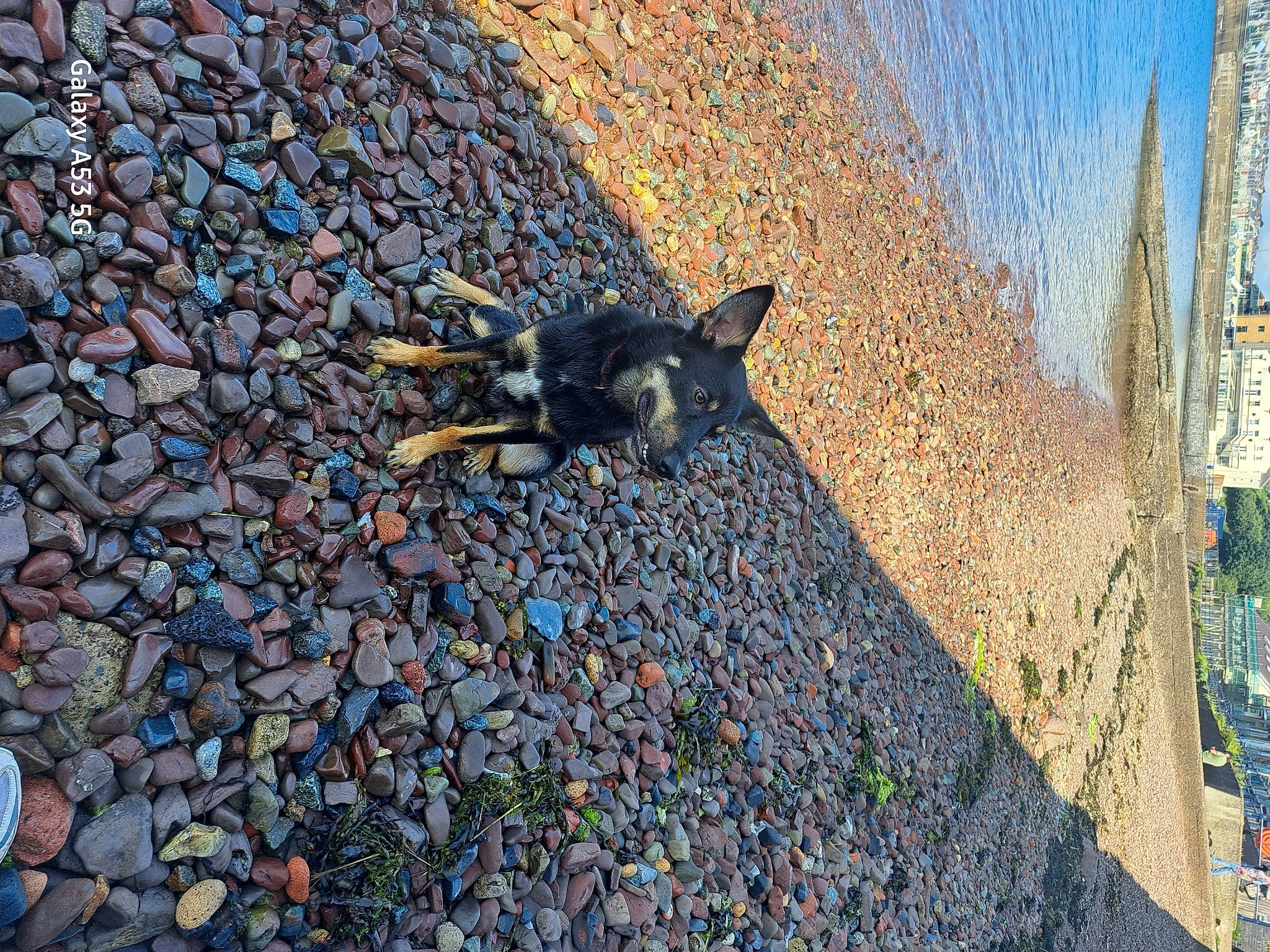Bruno is registered to the contest to win money with this photo: asphalt, city, cobblestone, electric_blue, flooring, grass, landscape, pebble, plant, road, road_surface, rock, shadow, sidewalk, sky, soil, tar, trunk, water, wood