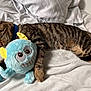 cat, tabby, sleeping, bed, white_bedspread, plush_toy, blue_toy, yellow_ears, cozy, pet, fur, animal, cute, domestic_cat, relaxed, resting, indoor, soft, companion, nap