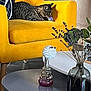 cat, cozy, curious_cat, decor, floor_tile, flower_vase, furniture, home_decor, indoor, modern_interior, pet, plant, playing_cat, purple_flowers, relaxing, tabby_cat, table, white_flower, wooden_leg, yellow_armchair