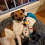 Togo a rejoint le concours — aidez-le/la à gagner de superbes lots ! dog, plush_toy, snowman, pet_bed, indoor, window, night, car, tree, floor, brown, white, cozy, cute, animal, toy, scarf, hat, relaxing, home