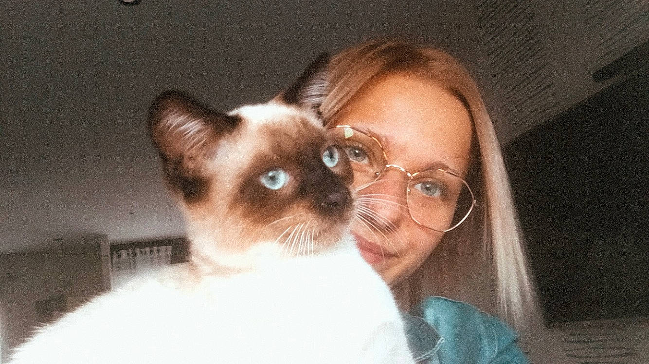 Bounthy a rejoint le concours — aidez-le/la à gagner de superbes lots ! balinese, birman, cat, ear, eye, eyebrow, face, felidae, forehead, hair, head, himalayan, mammal, nose, siamese, skin, small_to_medium_sized_cats, thai, tonkinese, whiskers