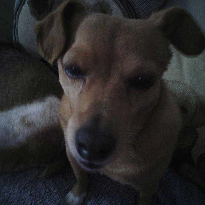 Elyum a rejoint le concours — aidez-le/la à gagner de superbes lots !