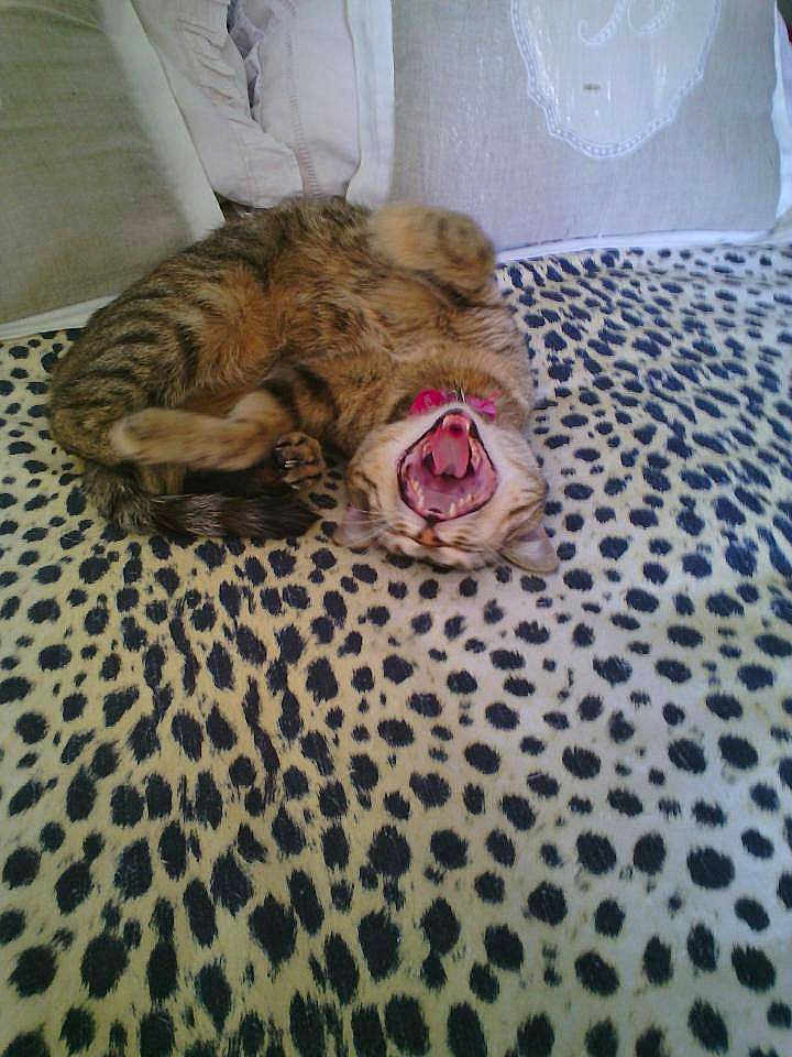 Lilou