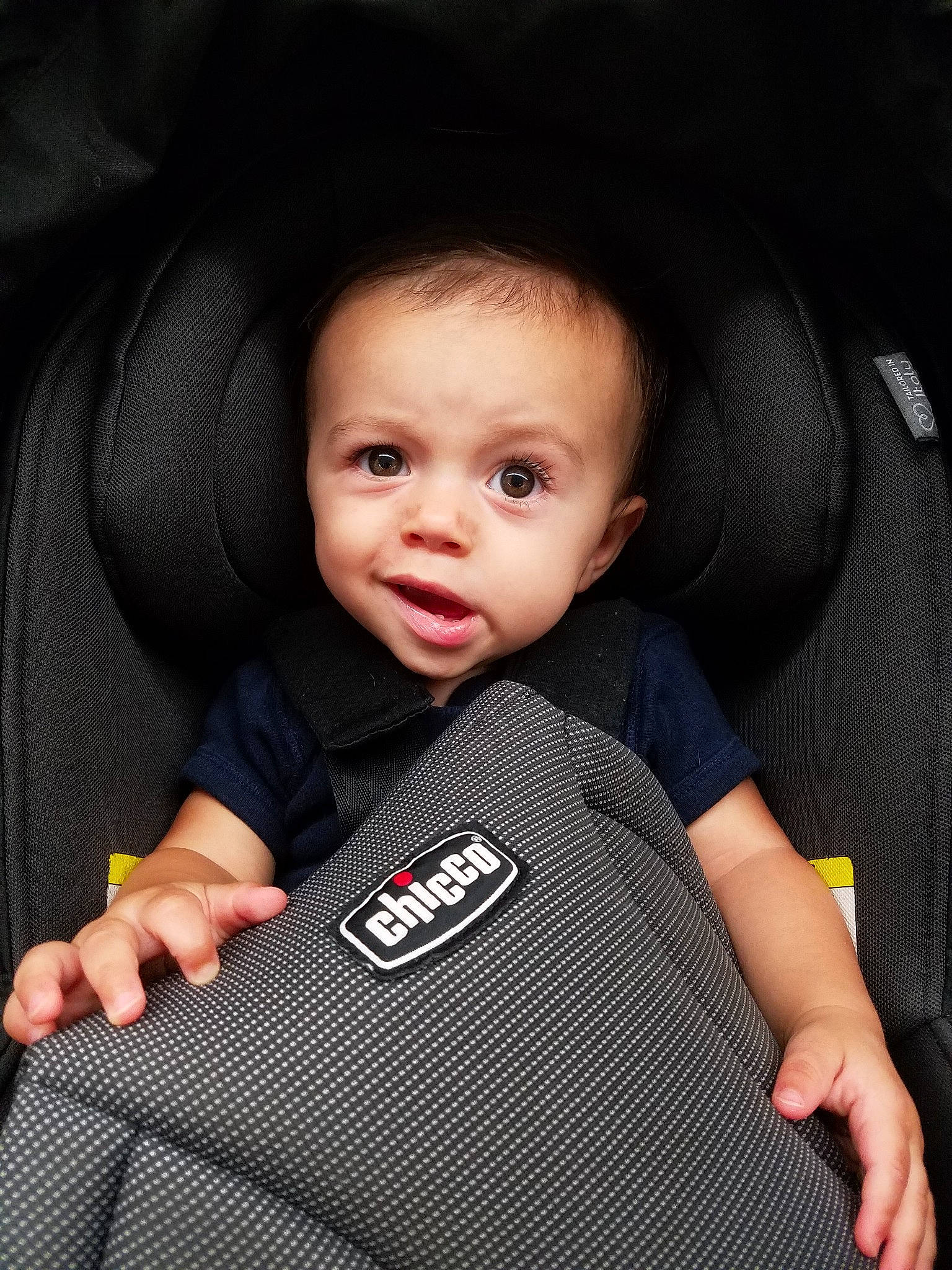Teddy joined the competition — help win amazing prizes! black, boy, car_seat, child, cool, eye, hand, infant, person, photography, product, sitting, smile, toddler