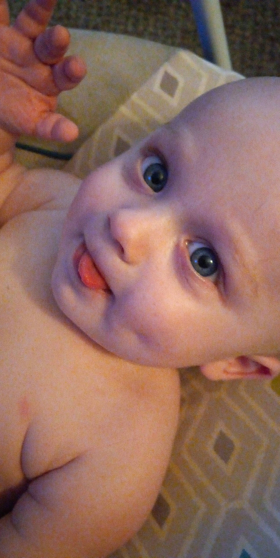 Dexter joined the competition — help win amazing prizes! baby, cheek, chin, ear, eye, eyebrow, eyelash, forehead, gesture, head, human_body, iris, jaw, lip, mouth, neck, nose, organ, person, skin