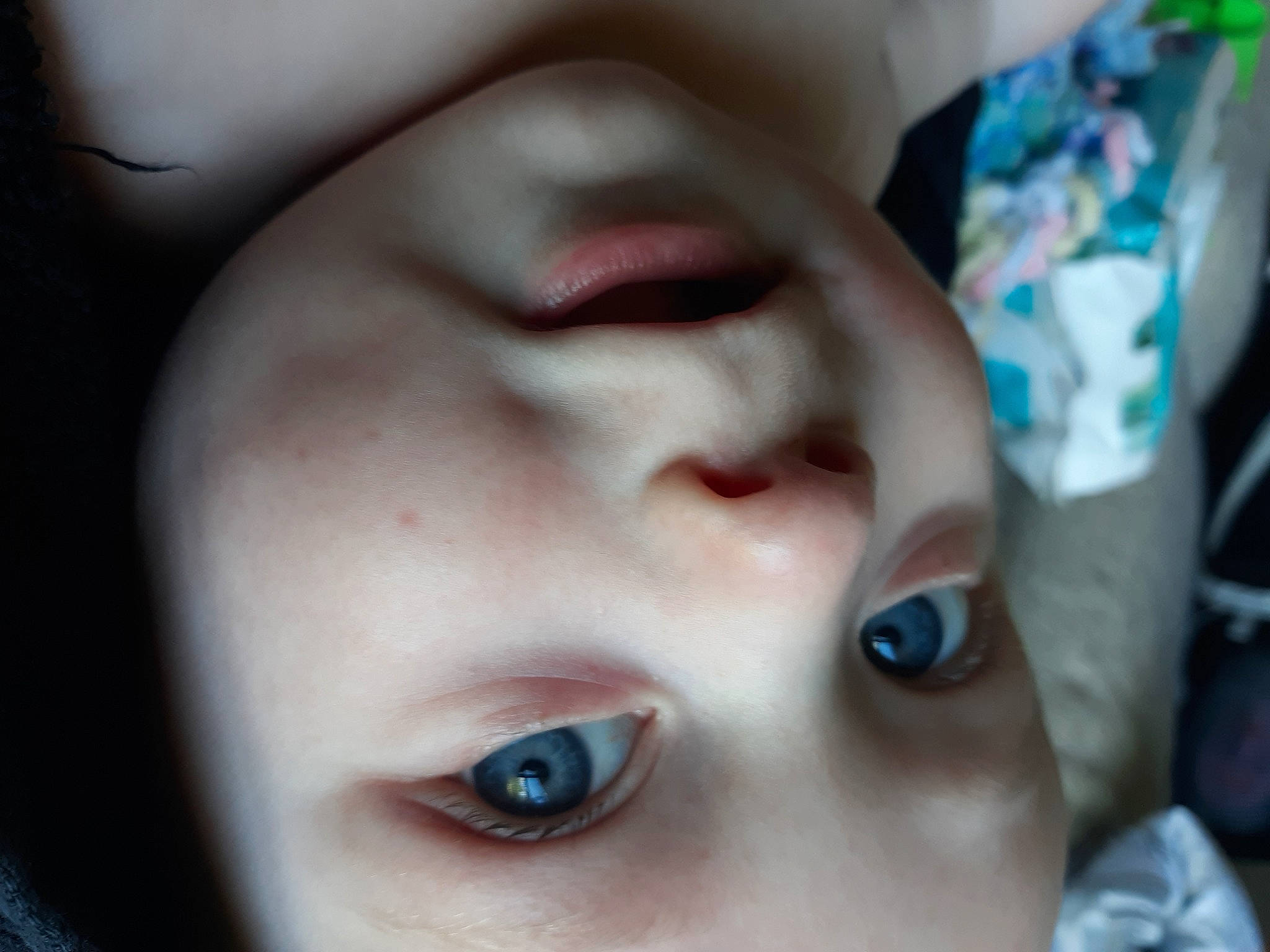 Dexter is registered to the contest to win money with this photo: baby, cheek, child, ear, eyelash, finger, forehead, fun, gesture, happy, jaw, lip, mouth, nose, organ, portrait_photography, selfie, skin, toddler, wrinkle