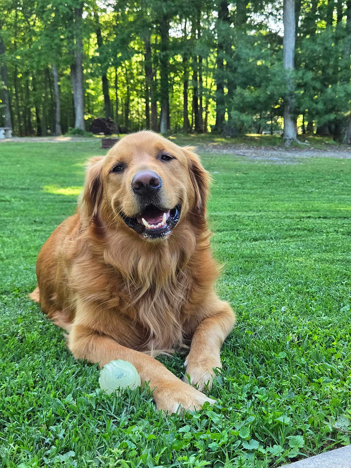 Brody