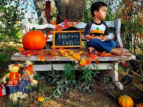 Link joined the competition — help win amazing prizes! calabaza, cucurbita, fruit, gourd, jack_o_lantern, person, plant, pumpkin, vegetable, vegetarian_food, winter_squash