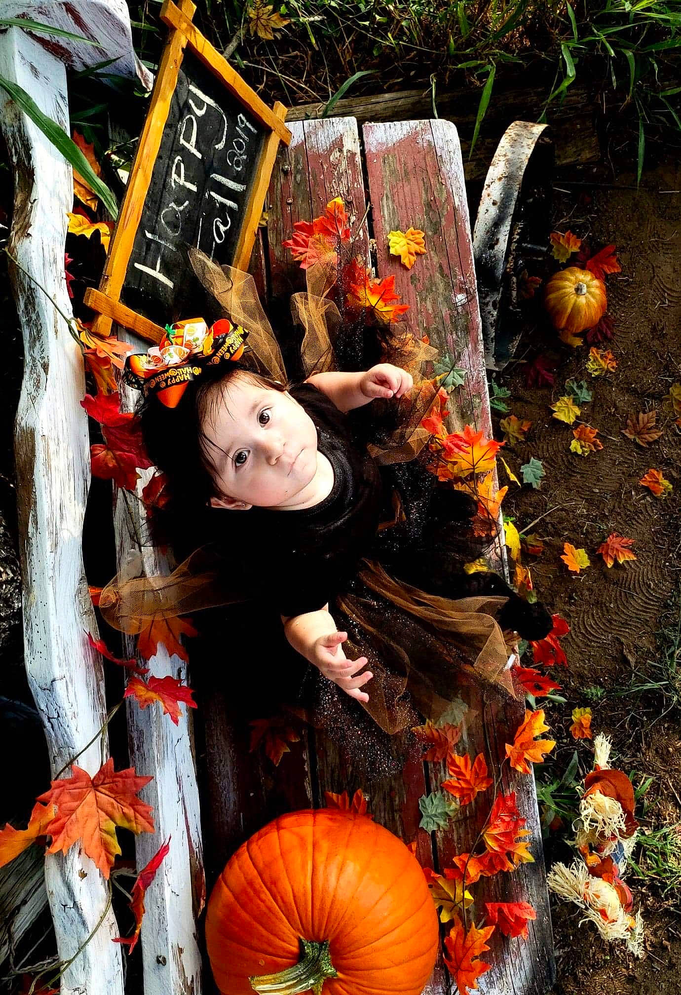 Averie joined the competition — help win amazing prizes! art, autumn, costume, gourd, orange, person, plant, pumpkin, tree, trick_or_treat