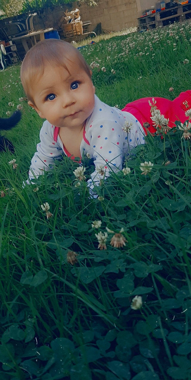 Noraa participe au concours pour gagner de l'argent avec cette photo : annual_plant, baby, baby_toddler_clothing, child, eye, flower, flowering_plant, grass, grass_family, grassland, groundcover, happy, leaf, meadow, pattern, people_in_nature, person, petal, plant, prairie