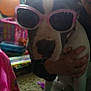 Baybay joined the competition — help win amazing prizes! carnivore, companion_dog, dog, dog_breed, ear, eyewear, fawn, fun, fur, goggles, magenta, nose, personal_protective_equipment, pink, selfie, snout, sporting_group, sunglasses, vision_care, working_animal