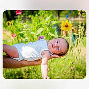 Blake joined the competition — help win amazing prizes! baby, infant, white_onesie, arm, hand, flower, sunflower, greenery, outdoor, nature, garden, daylight, peaceful, person, skin, portrait, summer, flora, resting, young_child