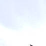 Dalko participe au concours pour gagner de l'argent avec cette photo : air_travel, cloud, daytime, energy, flight, line, meteorological_phenomenon, sky, wind, wing