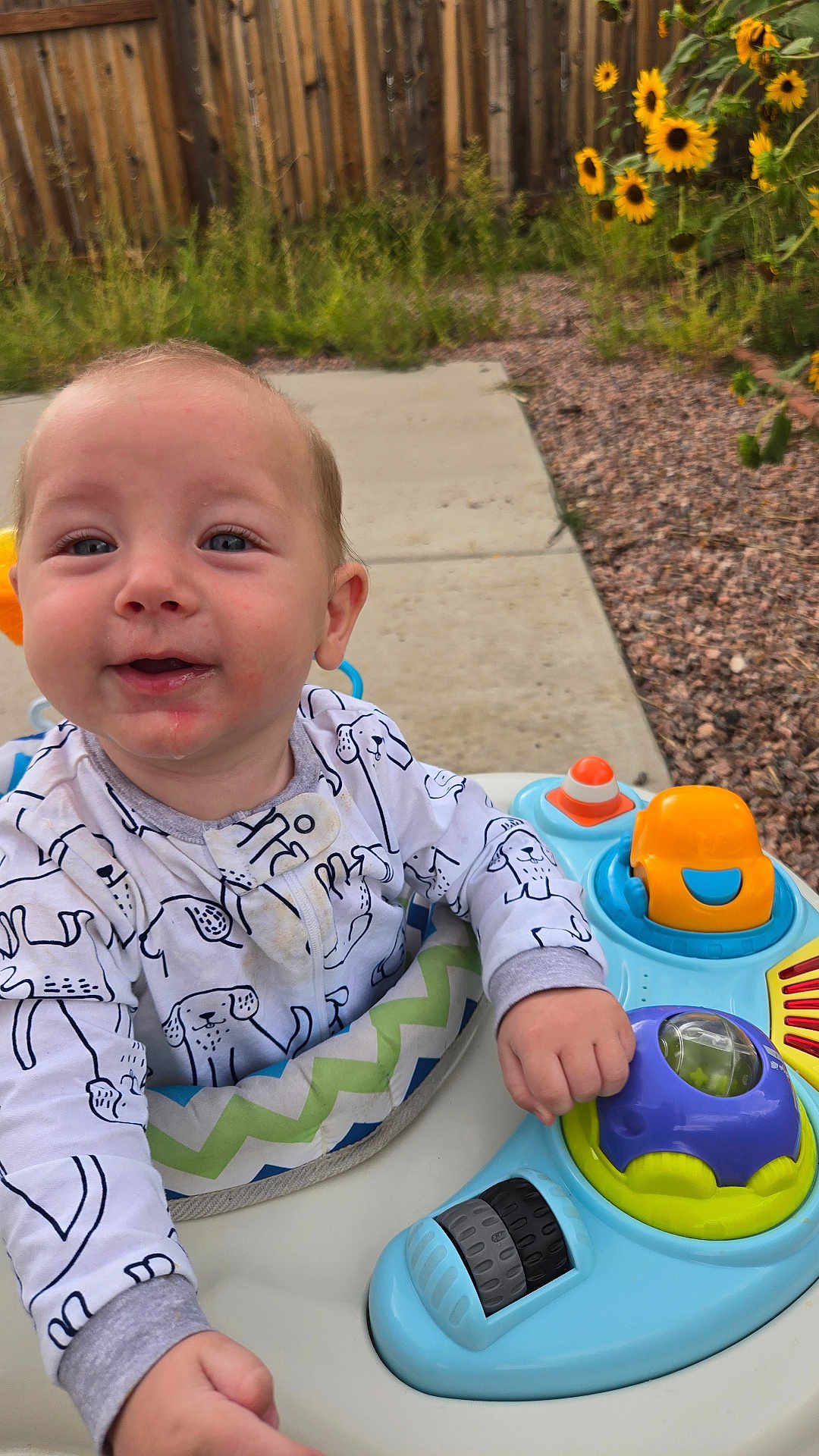 Brisben is registered to the contest to win money with this photo: baby, child, walker, toy, outdoor, sunflowers, fence, grass, clothing, happy, face, hand, play, colorful, person, nature, daylight, cute, infant, smile