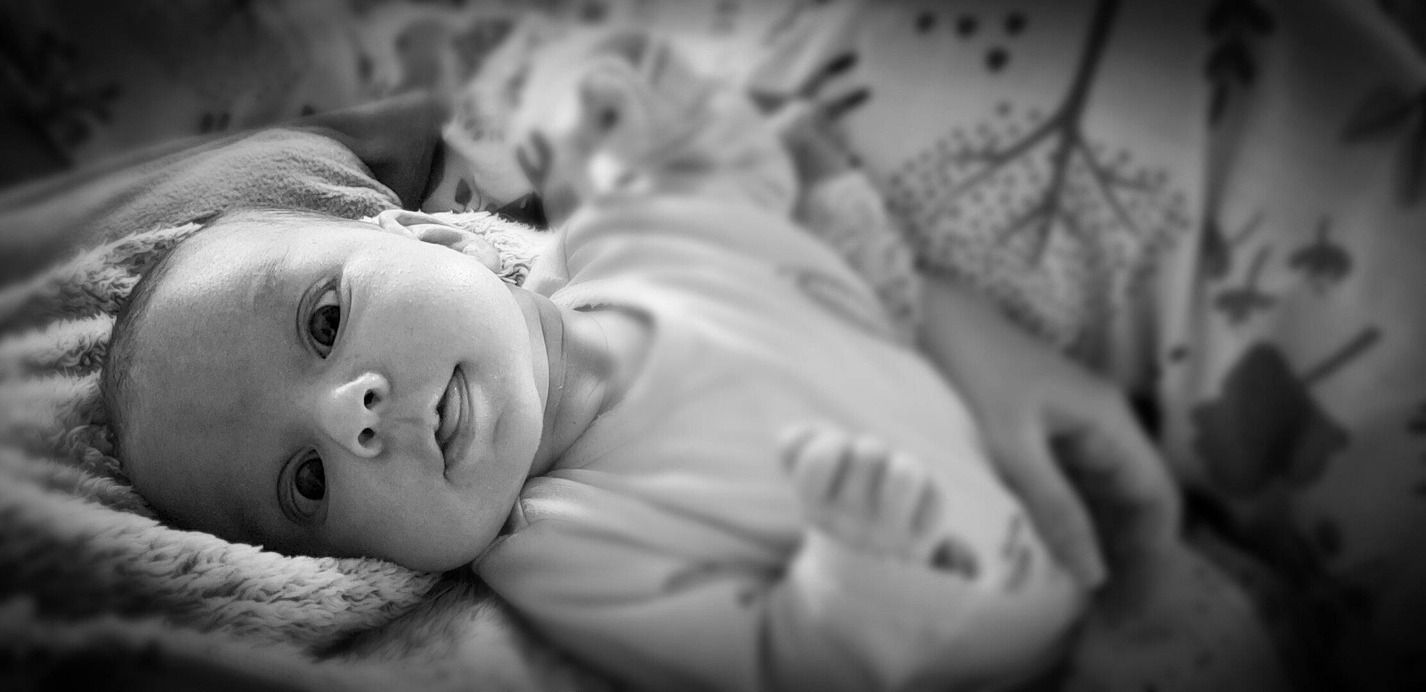 Aloy a rejoint le concours — aidez-le/la à gagner de superbes lots ! baby, black_and_white, cheek, comfort, darkness, eyebrow, flash_photography, fur, gesture, grass, happy, head, iris, monochrome, monochrome_photography, nose, person, plant, style, toddler