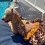 blue_cushion, curly_fur, daylight, dog, dress, fence, fur_texture, leisure, leopard_print, outdoor, pet, poodle, poolside, relaxing, shadow, summer, sunny, swimming_pool, tongue_out, yellow_frill