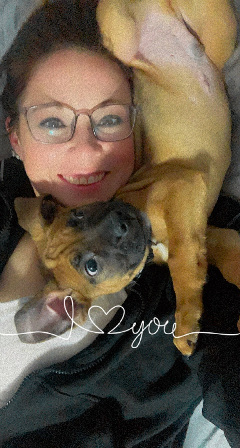 Bourbon joined the competition — help win amazing prizes! carnivore, companion_dog, dog, dog_breed, ear, eyewear, fawn, glasses, head, nose, selfie, smile, snout, sporting_group, stuffed_toy, toy, vertebrate, vision_care, whiskers, working_animal