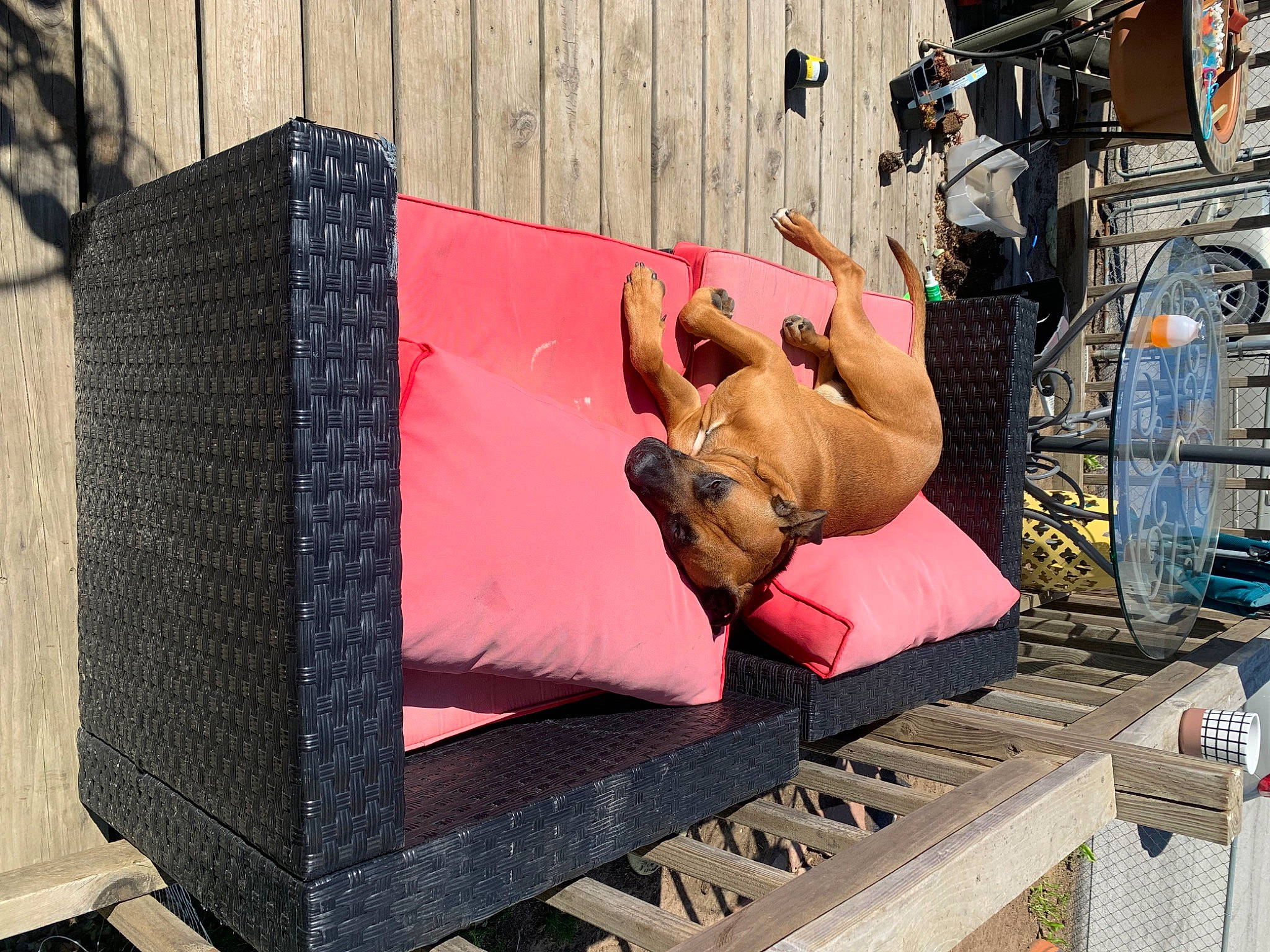 Bourbon is registered to the contest to win money with this photo: automotive_design, bench, comfort, couch, flooring, human_leg, leisure, machine, magenta, motor_vehicle, outdoor_bench, outdoor_furniture, rectangle, room, shorts, sitting, stool, street, studio_couch, wood