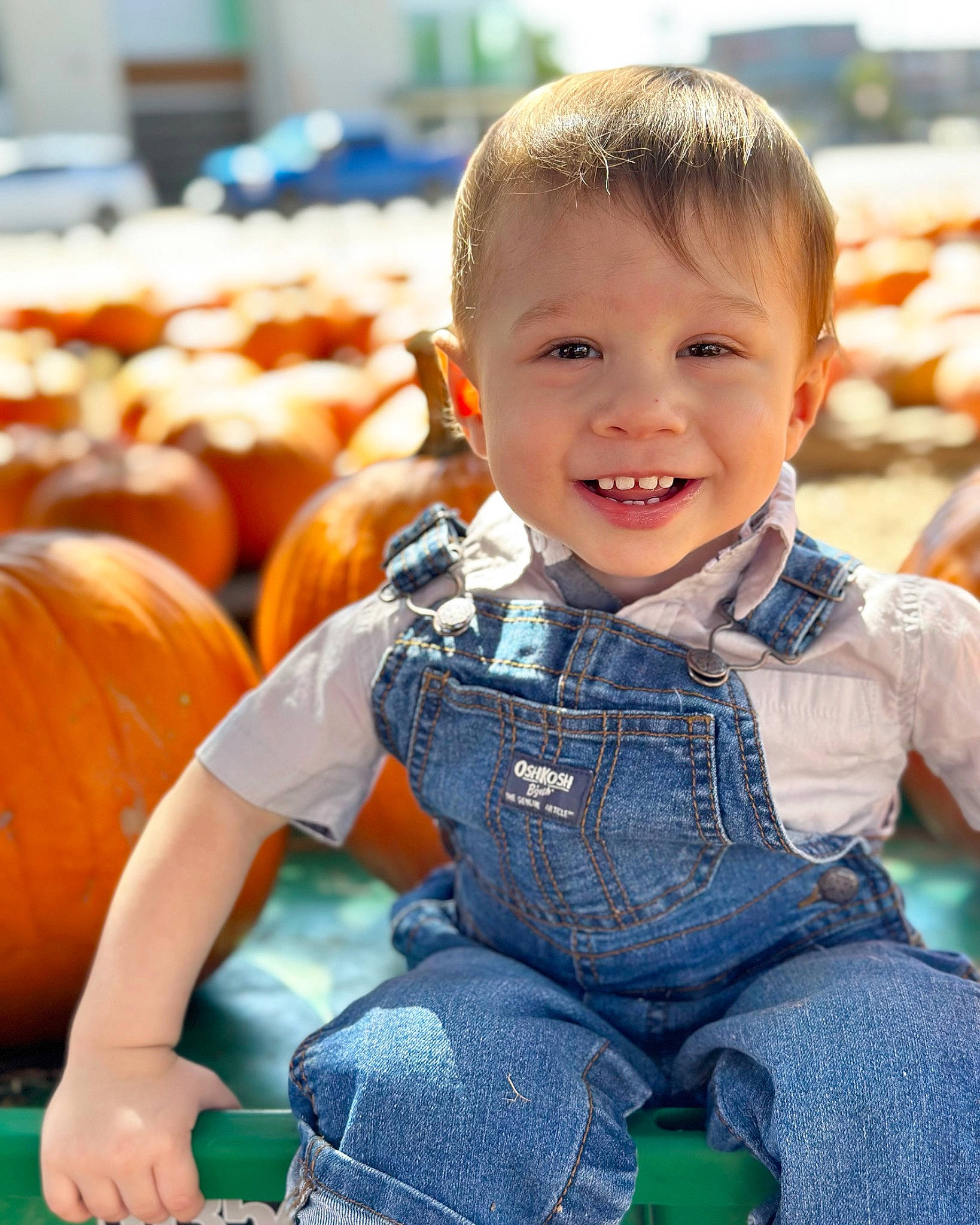 Emmitt joined the competition — help win amazing prizes! baby_toddler_clothing, calabaza, cucurbita, eye, facial_expression, gourd, grass, green, happy, iris, joy, natural_foods, orange, organ, person, photograph, plant, pumpkin, smile, squash