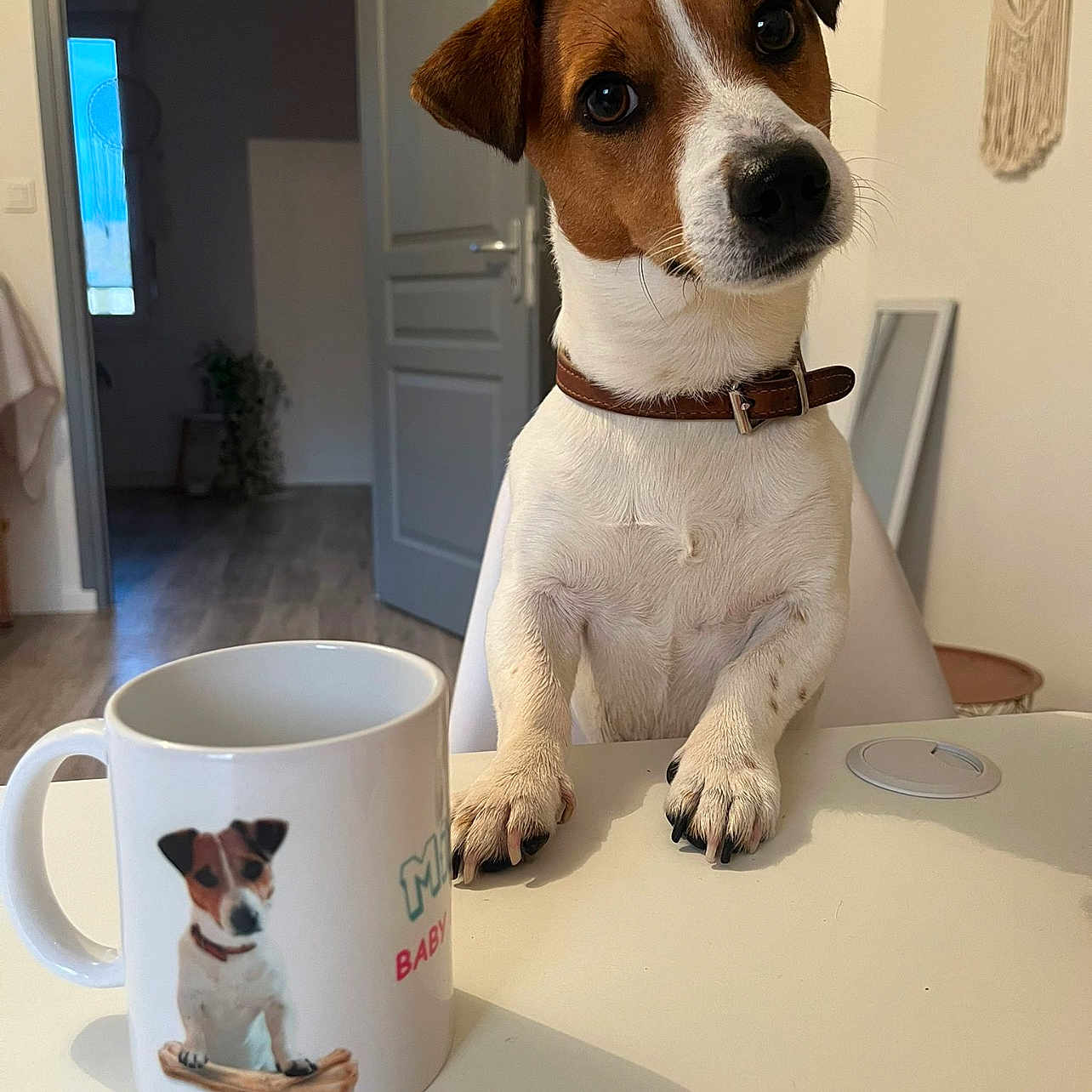 Milo