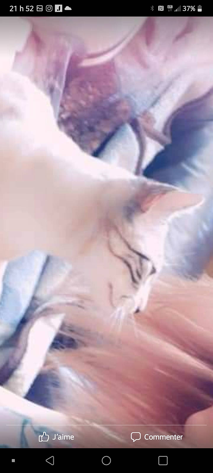 Zoé is registered to the contest to win money with this photo: dress, electric_blue, fawn, flesh, fur, human_leg, magenta, neck, pattern, peach, thumb, wood