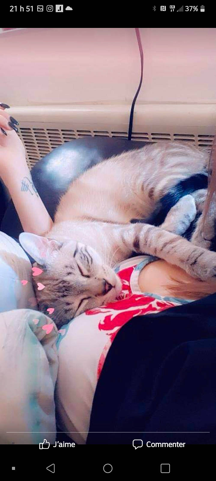 Zoé is registered to the contest to win money with this photo: bed, carnivore, cat, comfort, companion_dog, couch, domestic_short_haired_cat, fawn, felidae, fur, human_leg, lap, leg, linens, mammal, sitting, small_to_medium_sized_cats, snout, thigh, whiskers