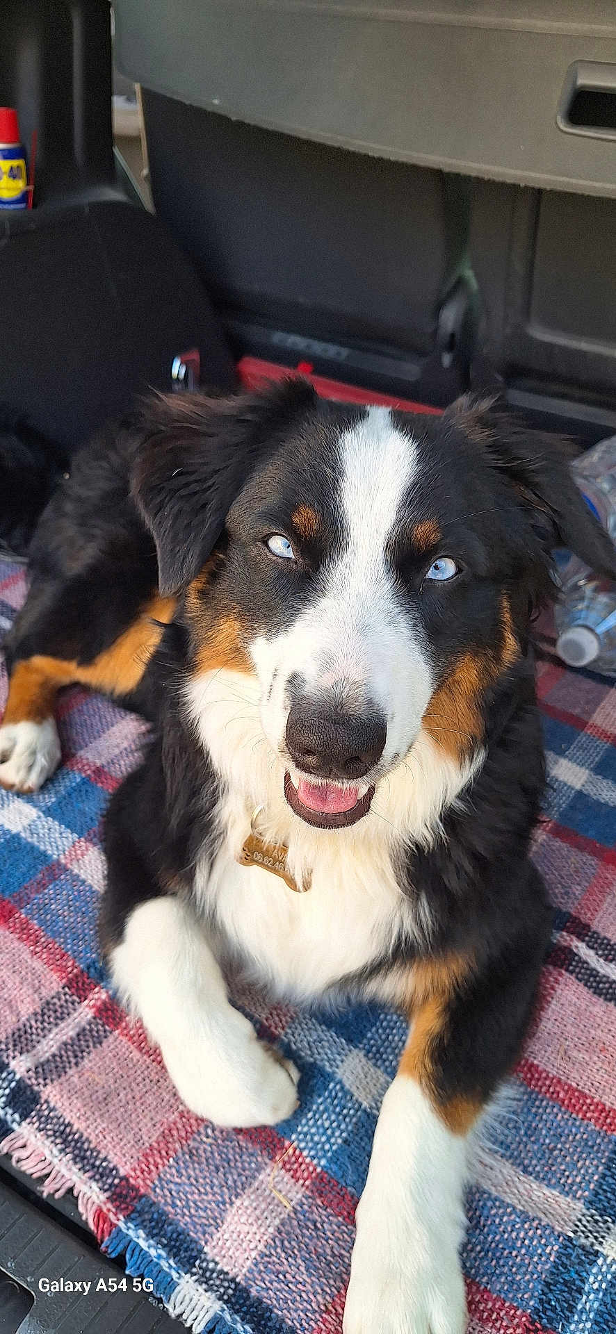 Ava